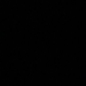 Meet your Posher, Reese